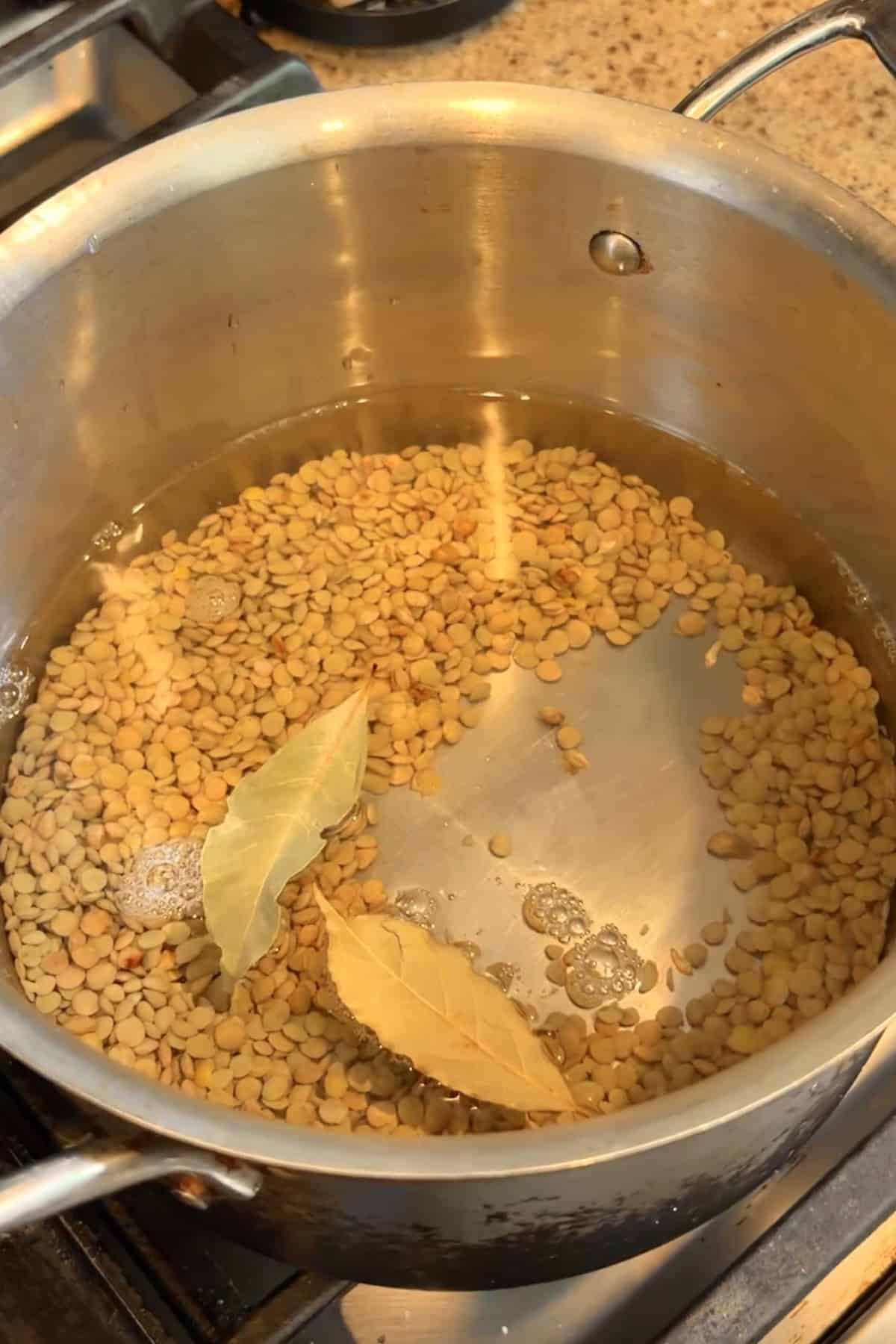 Water, lentils, and bay leaves in a saucepan.