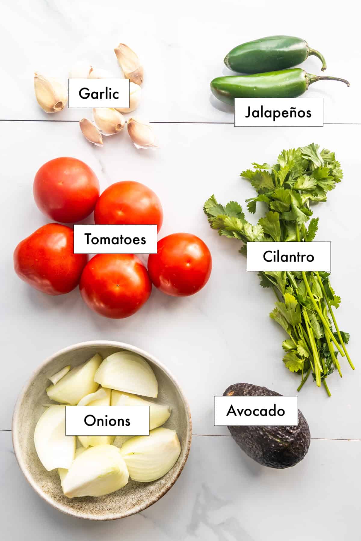 All ingredients for roasted tomato salsa laid out on a counter.
