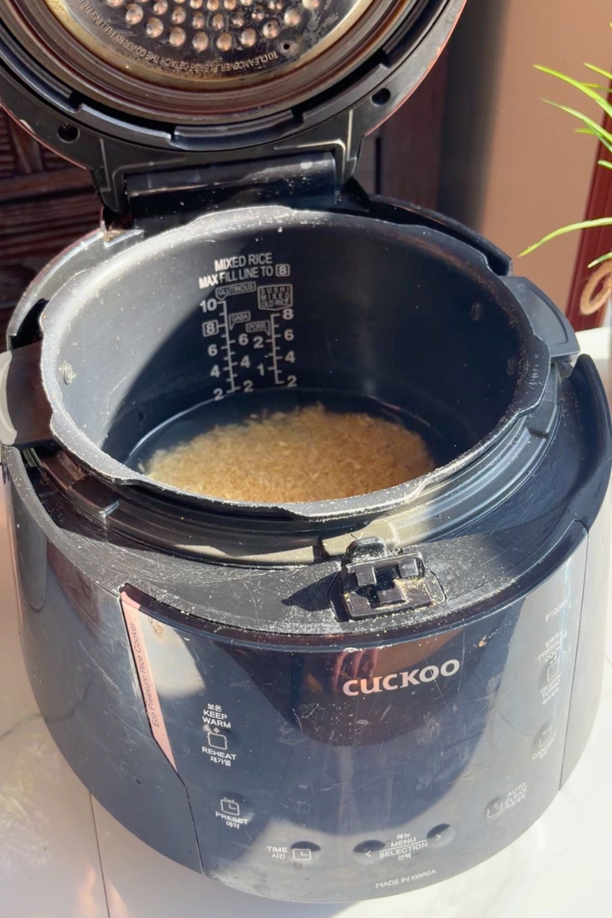 Uncooked brown rice in a rice cooker.